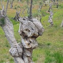 P1040200