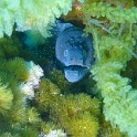 P1040231