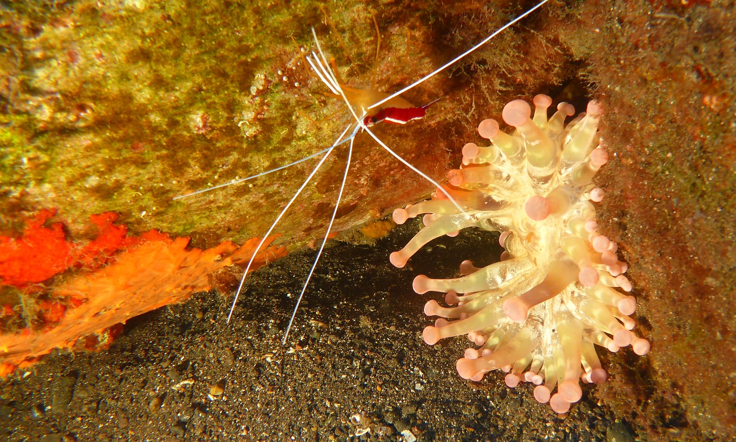 P1040515