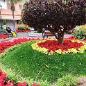 IMG 20211212 164445