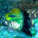 P1040560