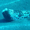 P1040628
