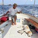 IMG 4287