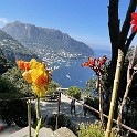 IMG 4362