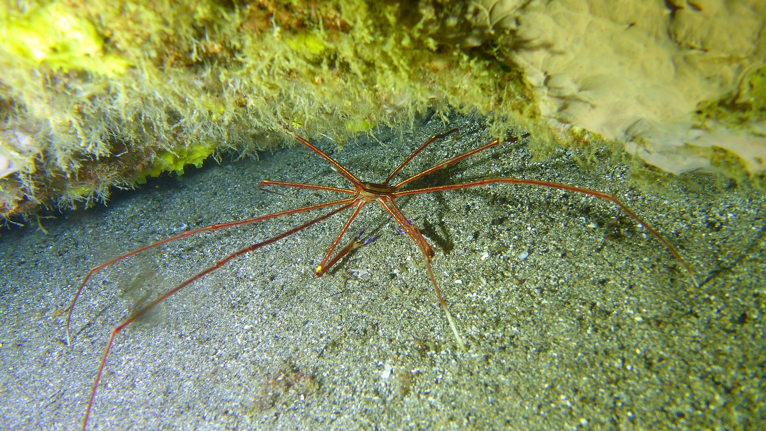P1060053