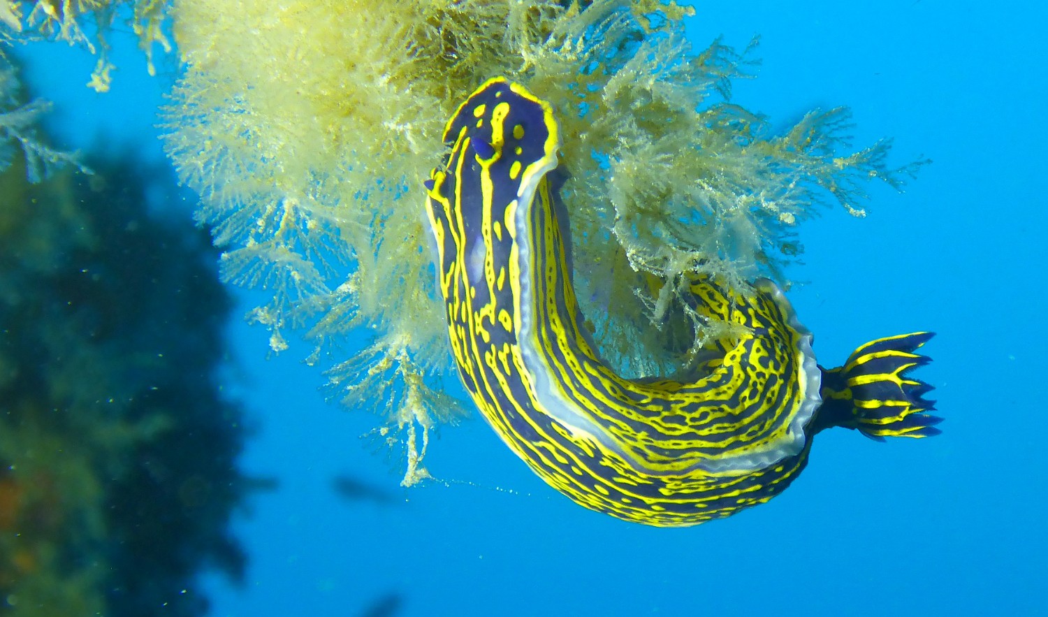 P1060157