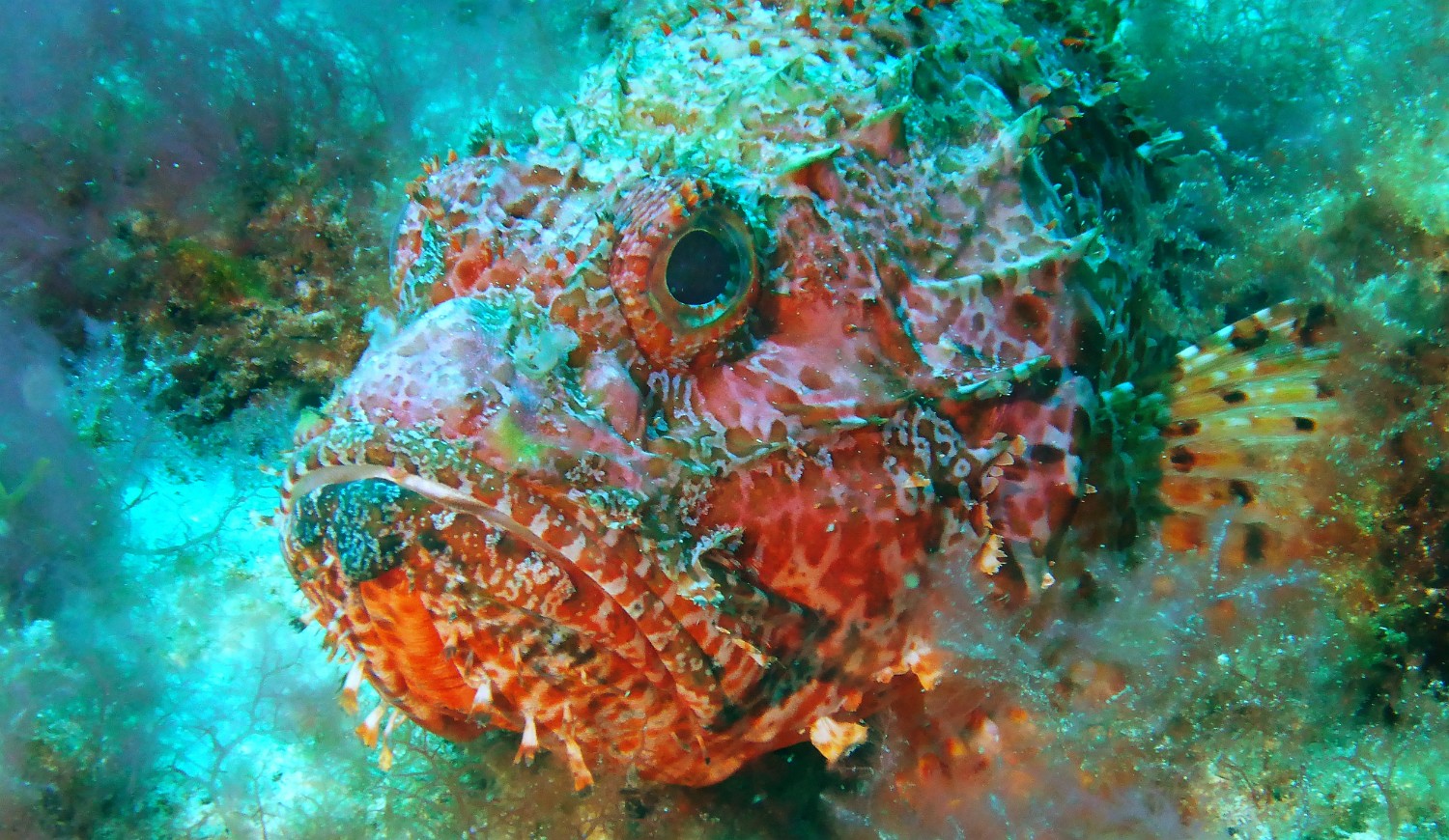 P1060196