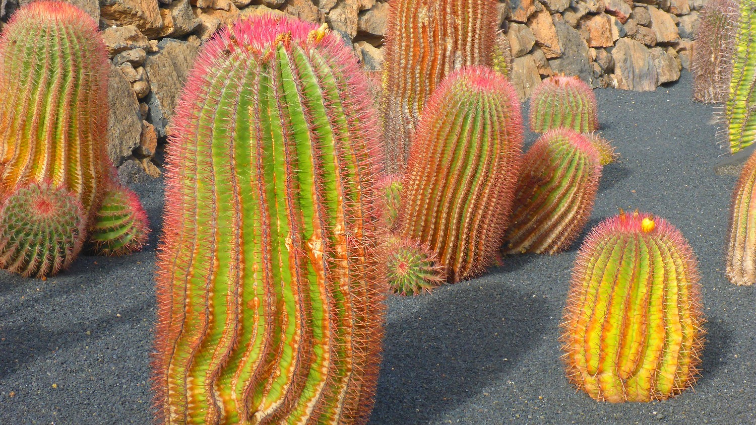 P1060260