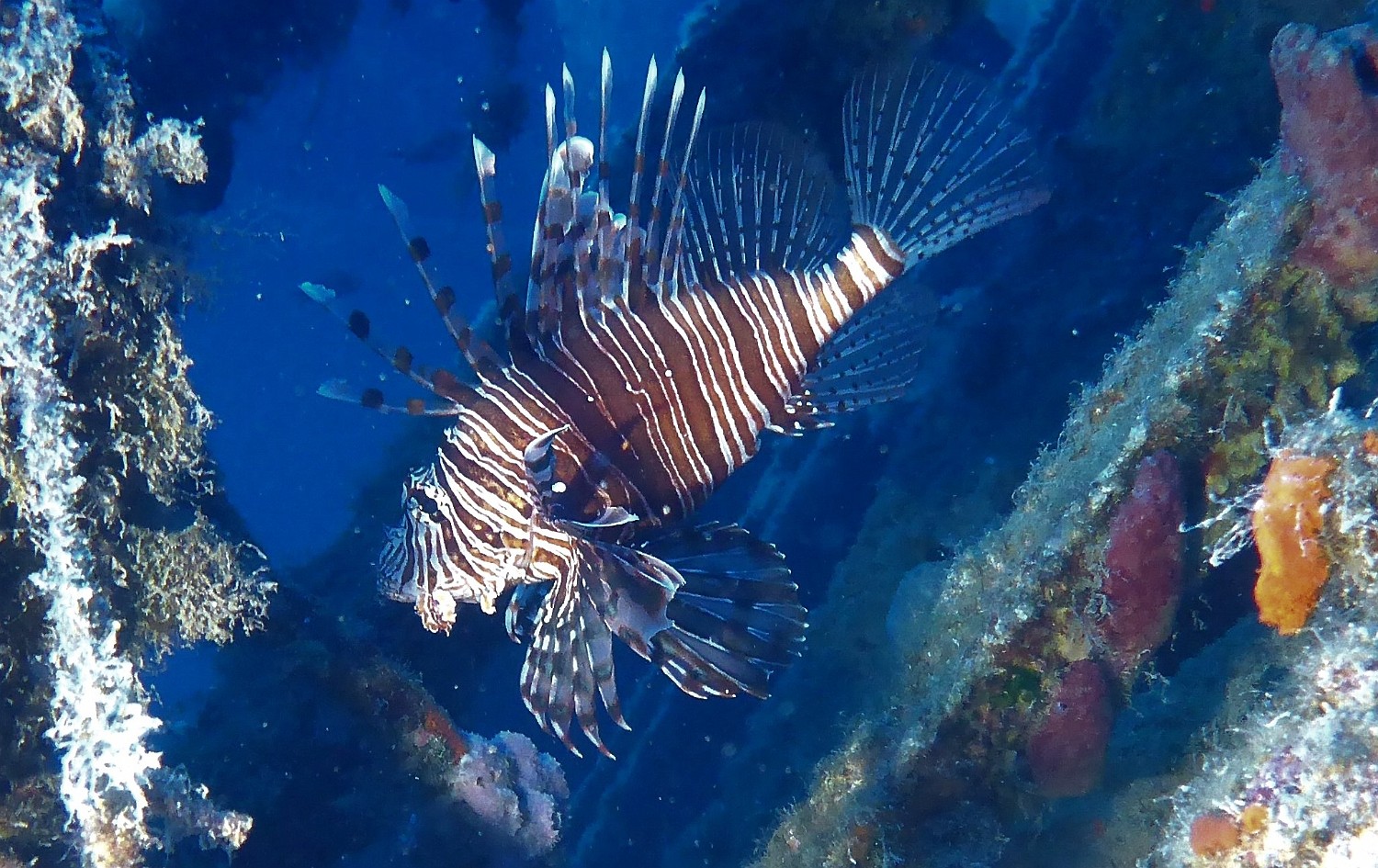 P1060642