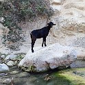 IMG 20240918 120644
