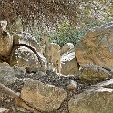 IMG 4523
