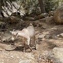 IMG 4546
