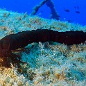 P1060694