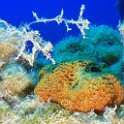 P1060700