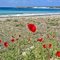 IMG 20250318 115538