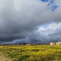 IMG 20250319 160550