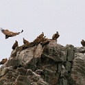 IMG 6753
