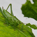 IMG 9859