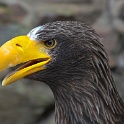 IMG 8764
