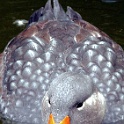 IMG 4888
