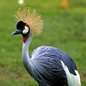 IMG 7820