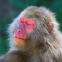 IMG 9726