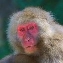 IMG 9730