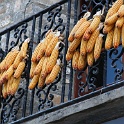 IMG 0995