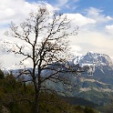 IMG 1580