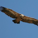 IMG 5488