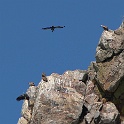 IMG 5584