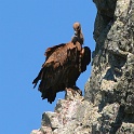 IMG 5596
