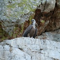 IMG 5689