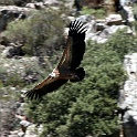 IMG 5759