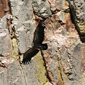 IMG 5793