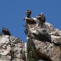 IMG 5832