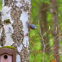 IMG 9972