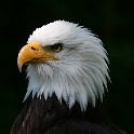 IMG 9167