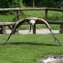 IMG 9335