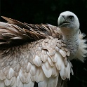 IMG 9386