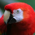 IMG 4140