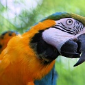 IMG 4142