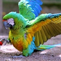 IMG 4148