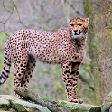 IMG 0491-1
