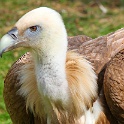 IMG 0647-1