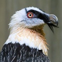 IMG 7366