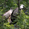 IMG 3514