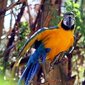 IMG 3887