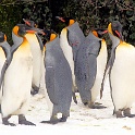 IMG 4873