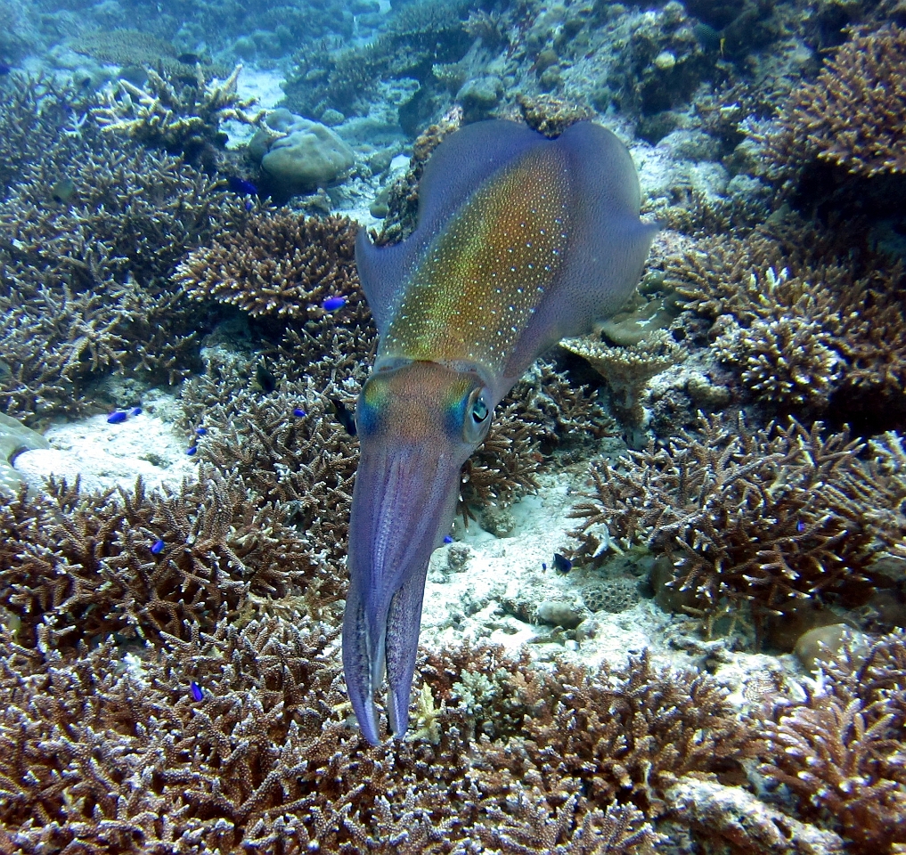 IMG 0577